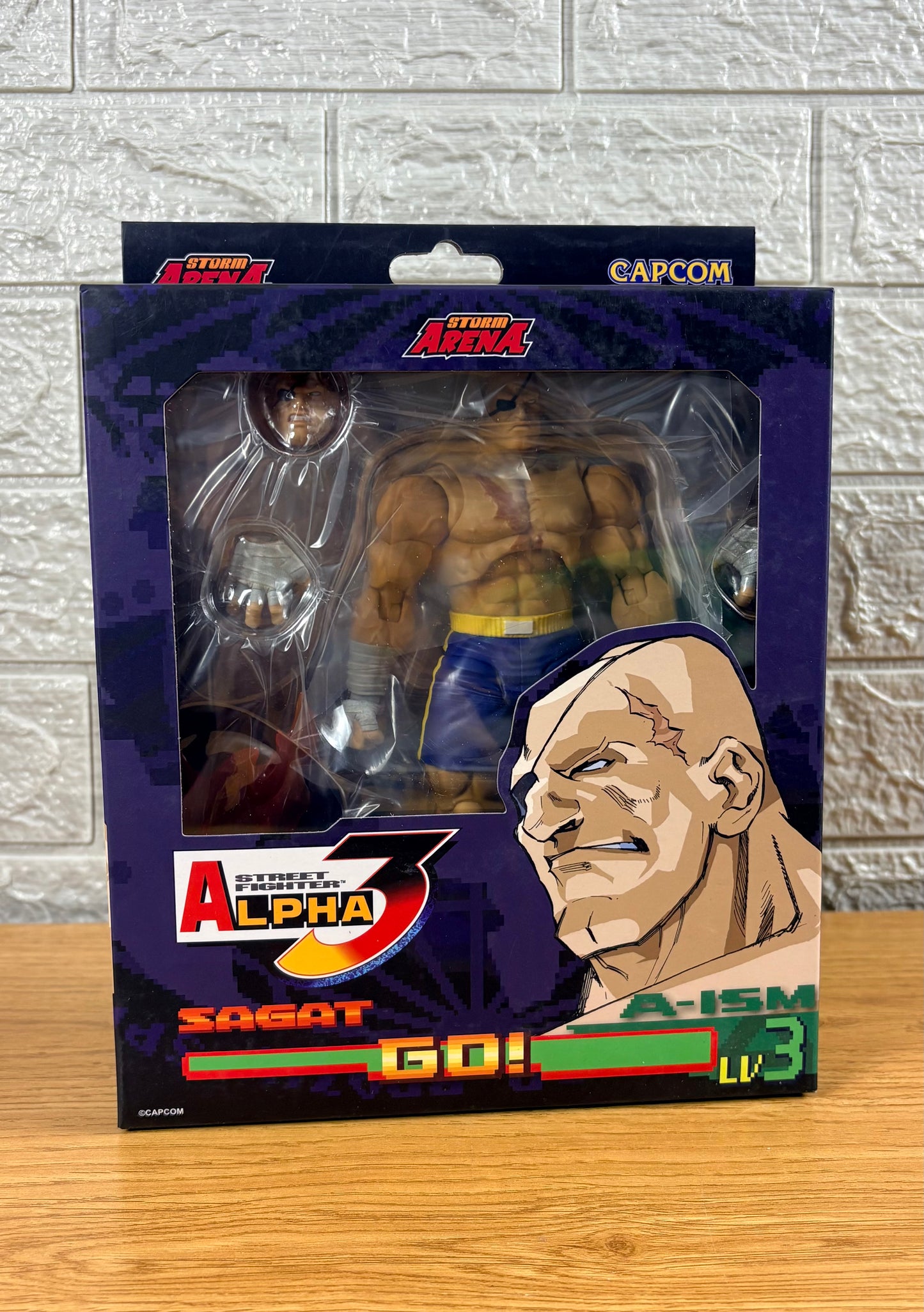 Sagat - Storm Arena