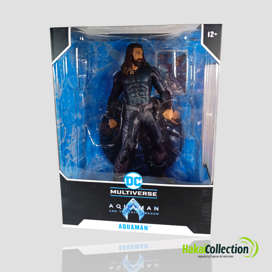 Aquaman, and the lost kingdom - Dc Multiverse 25cm